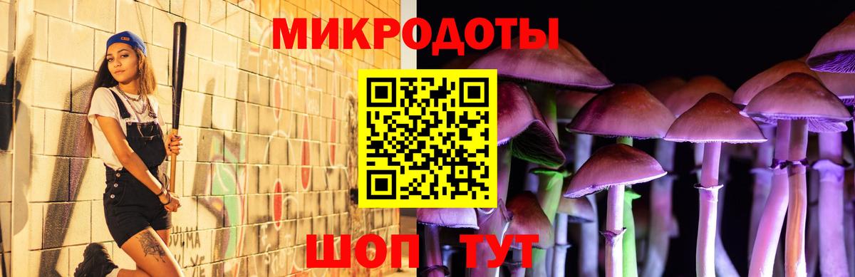 Галлюциногенные грибы MAGIC MUSHROOMS  Вход с VPN  Кувандык 